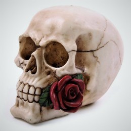 crâne avec rose rouge